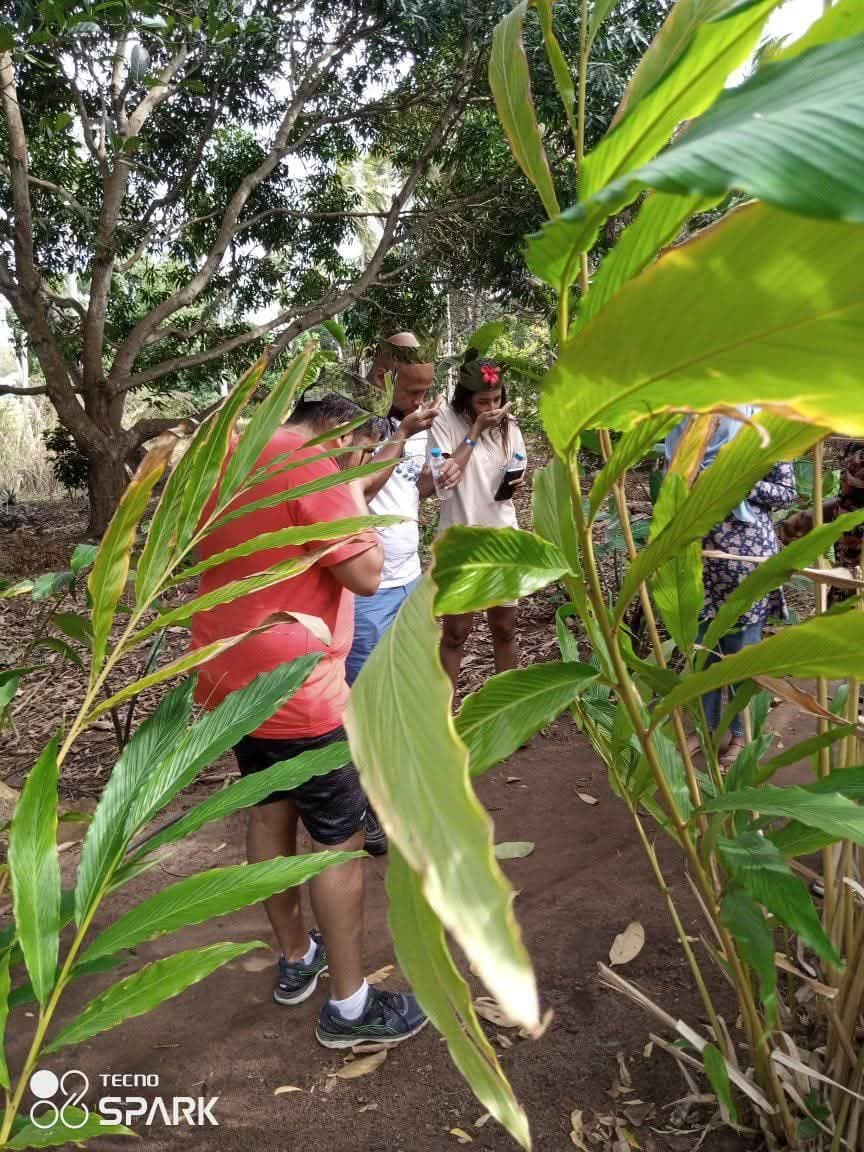 Karafuu Spice Farm Tour
